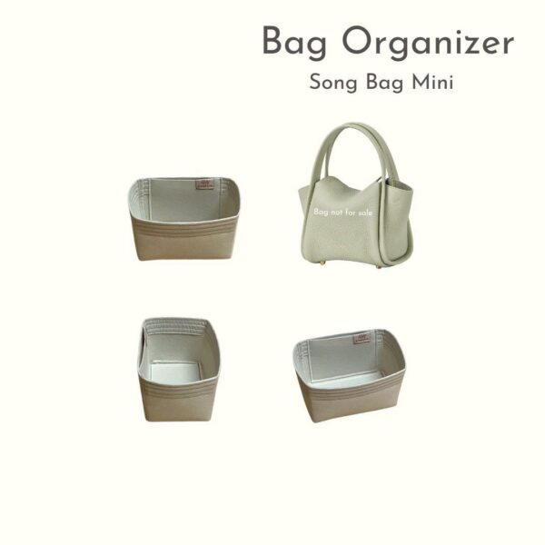 Bag Organizer-Song-Bag-Mini - Image 2